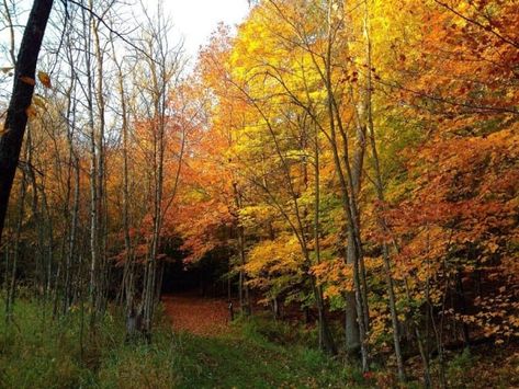 Alexandria Minnesota, Lakeside Restaurant, Country Park, Scenic Byway, Road Trip Hacks, Albert Camus, Fall Travel, Canoe And Kayak, Fall Color