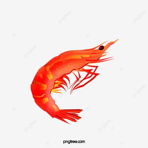 Shrimp Picture, Shrimp Clipart, Red Airplane, Airplane Vector, Red Png, Transparent Clipart, Cute Love Memes, Clown Fish, Love Memes