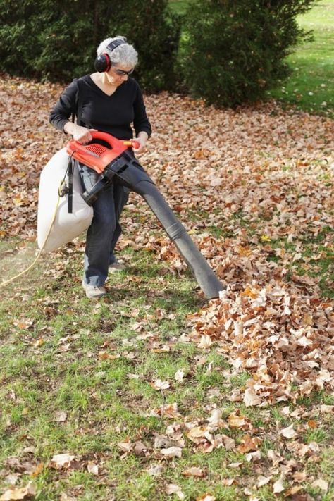 Best Leaf Vacuum Options for Any Small Yard | Bob Vila Leaf Vacuum Diy, Small Garden Tool Storage, Lawn Vacuum, Leaf Vacuum, Lawn Mower Maintenance, Small Garden Tools, Garden Tools Diy, Yard Cleanup, Garden Tool Rack