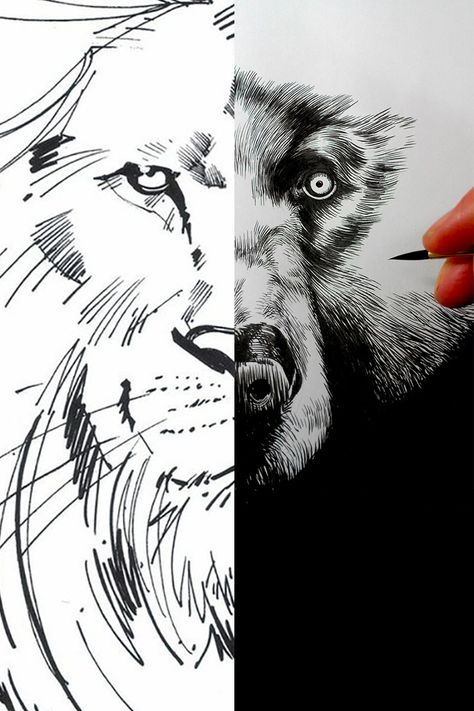 Lion and Bear Tattoo Lion Bear Tattoo, Bear And Lion Tattoo, Bear Tattoo, Bear Face, Face Tattoo, Lion Tattoo, Lion, Tattoo Designs, Abstract Artwork