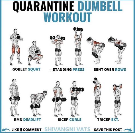 Dumbell Excersize, Dumbbell Squat Workout, Dumbbell Workout Plan, Dumbbell Workout At Home, Full Body Workout Plan, Dumbbell Workouts, Full Body Dumbbell Workout, Workout Program Gym, Gym Workout Planner