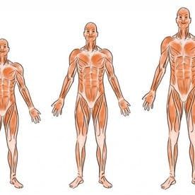 Grow Height, Tips To Increase Height, Grow Taller Exercises, Human Height, Taller Exercises, Increase Height Exercise, Form Follows Function, Grow Taller, Ap Biology