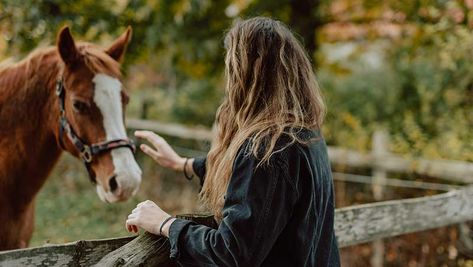 Buying a Horse? What You Need to Know about Buying a Horse Buy A Horse, Animal Reiki, Equine Therapy, Equestrian Helmet, American Paint, Barrel Horse, Types Of Horses, Horse Names, Horse Blankets