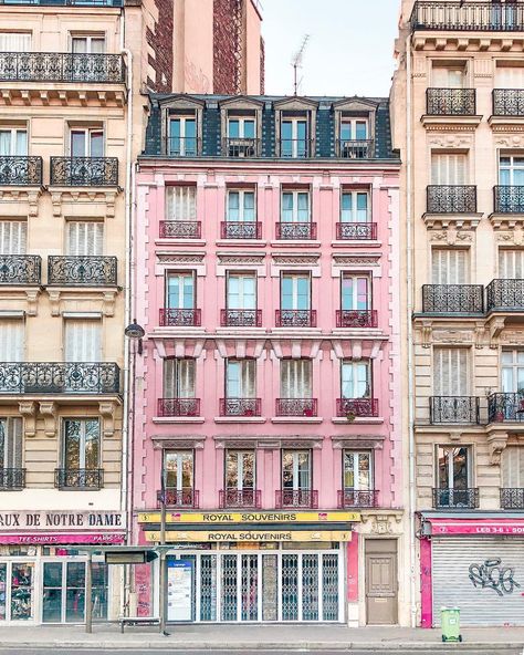 Accidentally Wes Anderson 💕 #accidentallywesanderson Paris Aesthetic Illustration, Wes Anderson Buildings, Wes Anderson Architecture, Paris Buildings Aesthetic, Paris Building, Accidentally Wes Anderson, Wes Anderson Movie, Wes Anderson Aesthetic, Paris Buildings