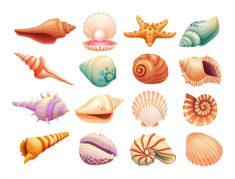 Seashell Illustration Drawing, Seashells Illustration, Sea Shell Illustration, Shells Illustration, Shell Illustration, Seashell Drawing, Seashell Illustration, Shell Drawing, Mermaid Core