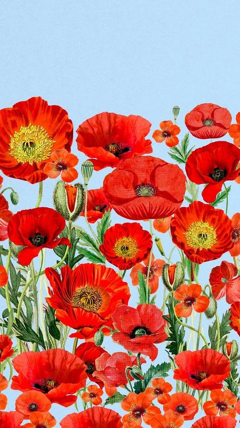 Poppies Wallpaper Iphone, Poppy Iphone Wallpaper, Poppies Background, Summer Floral Background, Poppy Flower Art, Iphone Wallpaper Iphone, Poppy Wallpaper, Wallpaper Summer, Wallpaper Iphone Summer