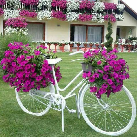 Bicycle Planter, Unique Backyard, Bicycle With Flowers, Bike Planter, Easter Pictures, Diy Gardening, Planter Ideas, Garden Yard Ideas, Deco Floral