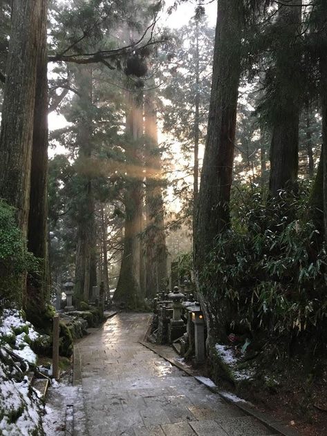 Okunoin Cemetery Path by Hemantaaryal The post Okunoin Cemetery Path appeared first on Alo Japan. Okunoin Cemetery, Japan Photo, Pretty Places, Travel Bucket List, Cemetery, Bucket List, Japan, Travel, Quick Saves