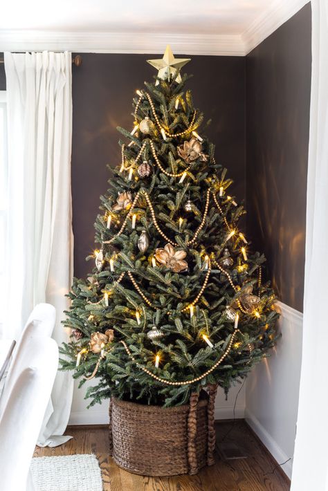 Real Xmas Trees, Christmas Tree Inspiration Simple, Christmas Tree Inspiration Rustic, Live Christmas Trees, Modern Christmas Tree, Real Christmas, Farmhouse Christmas Tree, Real Christmas Tree, Christmas Tree Inspiration