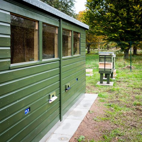 Bee shed ... Bee Shed, Hive Stand, Roof Insulation, Hobby Farm, Bee Friendly, Hobby Farms, Window Frames, The Bee, Bee Happy