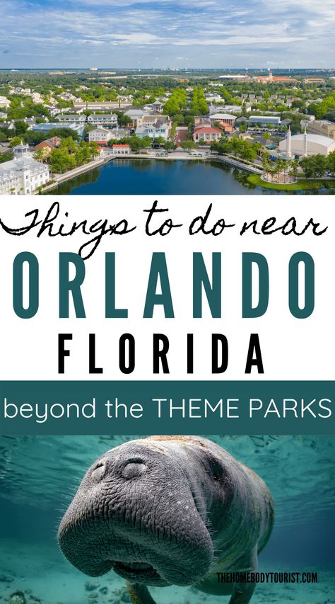 Orlando Without Theme Parks, Things To Do Near Orlando, Things To Do Orlando, Hiking In Florida, Orlando Activities, Orlando Florida Vacation, Things To Do In Orlando, Florida Travel Guide, Visit Orlando