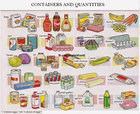 English for beginners: Containers and Quantities English Picture Dictionary, Nuclear Family, English Teaching Materials, English For Beginners, Learning English For Kids, Picture Dictionary, English Vocab, English Classroom, English Language Teaching