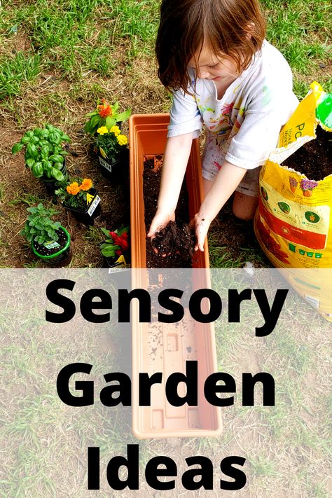 Children’s Garden, Sensory Garden Design, Sensory Garden For Kids, Outdoor Sensory Play, Montessori Garden, Class Garden, Sensory Garden Ideas, Mud Kitchen Ideas, Garden Sensory