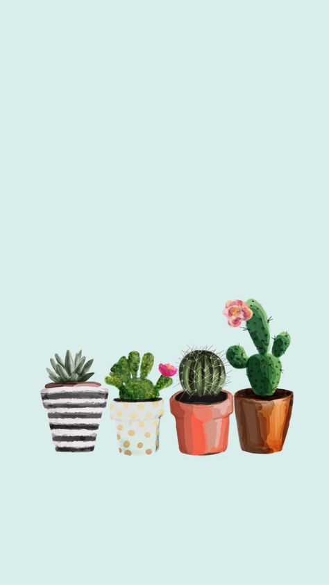 Succulents Wallpaper, Cactus Backgrounds, Potted Cactus, Ipad Background, Free Phone Wallpaper, Wallpaper Tumblr, Cactus Art, 수채화 그림, Iphone Prints