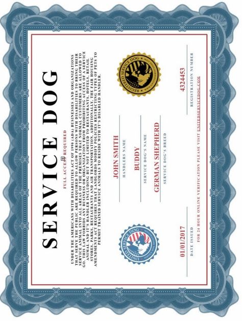 Corgi Service Dog, Free Printable Service Dog Certificate, Dog Certificate, Black Anime Guy, New Photo Download, Anime Guy, Service Dog, Service Animal, Black Anime