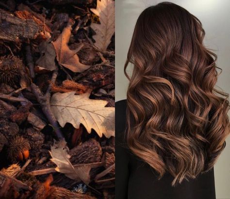 Brown Fall Hair Balayage, Carmel Highlights On Brown Hair Curly 3a, Fall Hair Colors For Curly Hair, Muted Brown Hair, Brassy Brunette, Chestnut Balayage, French Balayage, Bronze Hair Color, Fall Balayage