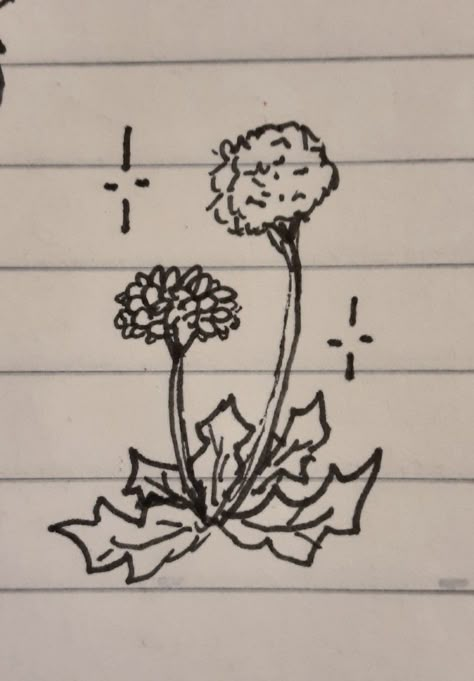 Nature Cute Drawings, Pretty Doodles Aesthetic, Doodle Drawings Flowers, Notebook Drawings Doodles Sketches, Goblincore Doodles, Plant Doodles Simple, Simple Flower Aesthetic, Dandelion Doodle, Simple Flower Drawings