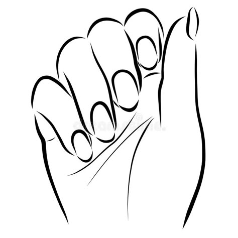 Female hand with neat nails. vector illustration Hand Outline, Nail Art Pictures, Nail Drawing, Hand Drawing Reference, Arte Cyberpunk, Small Drawings, Nail Photos, Simple Cartoon, Hand Sketch