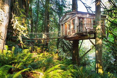 Treehouse Point, Treehouse Hotel, Seattle Hotels, Fall City, Cool Tree Houses, Go Glamping, 100 Things To Do, Glamping Site, Hotel Building