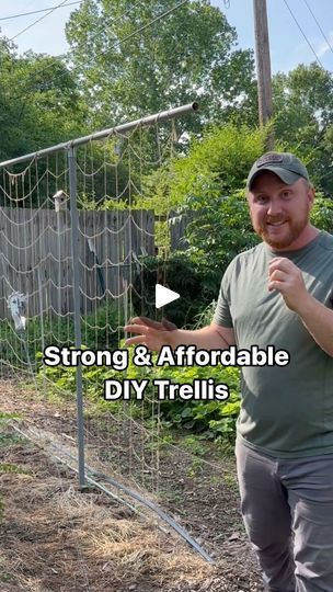 How To Build A Trellis, Trellis System, Diy Trellis, Garden Vegetables, Garden Trellis, In My Opinion, Hardware Store, My Opinions, Put Together