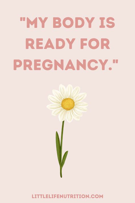 Fertility Inspiration Quotes, Fertility Mantra Daily Affirmations, Embryo Transfer Day Quotes, Getting Pregnant Affirmations, Pregnant Vision Board, Manifestation Pregnancy, Conception Affirmations, Vision Board Baby, Pregnant Affirmations