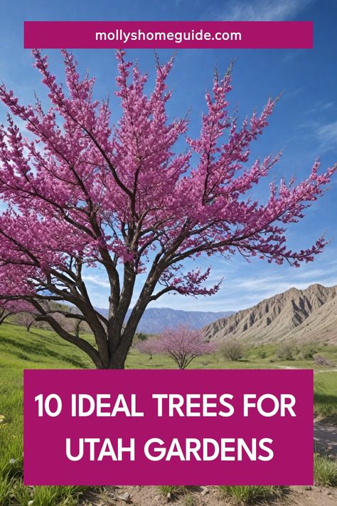 Are you looking to enhance your garden or landscape in Utah? Discover the best trees to plant in Utah that will thrive in the local climate. Whether you're interested in flowering trees, fruit trees, or wanting to create a beautiful ambiance, these suggestions will help you make an informed decision. Consider planting some of the most suitable options like quaking aspen, Colorado blue spruce, or autumn blaze maple to add color and texture to your outdoor space. Autumn Blaze Maple, Blue Spruce Tree, Quaking Aspen, Colorado Blue Spruce, Eastern Redbud, Ginkgo Tree, Crabapple Tree, Thriving Garden, Fall Fruits