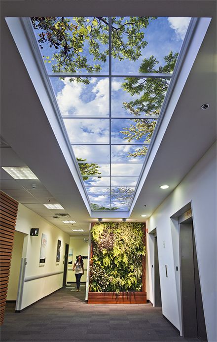 Illuminated Ceiling, Biophilia Design, Plants Indoor Design, Sky Ceiling, Fake Window, Ceiling Murals, Hospital Interior, Biophilic Design, Dental Office Design