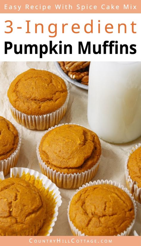 Carrot Cake Mix Pumpkin Muffins, Things You Can Make With Pumpkin Puree, Muffin Cake Mix Recipes, Cake Mix Pumpkin Muffins 3 Ingredients, Carrot Cake Mix With Pumpkin Puree, Pumpkin Muffins With Applesauce, Muffins With Pumpkin Puree, Bisquick Pumpkin Muffins, Pumpkin Muffins Cake Mix Recipe