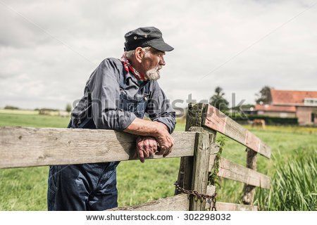 Elderly grey-haired bearded farmer leaning on a paddock fence watching his animals with farm buildings in the distance - stock photo Dream Jobs, Odd Jobs, Rural Scenes, Move On, Photo Reference, Big Deal, Pose Reference, Royalty Free Images, Stock Images Free