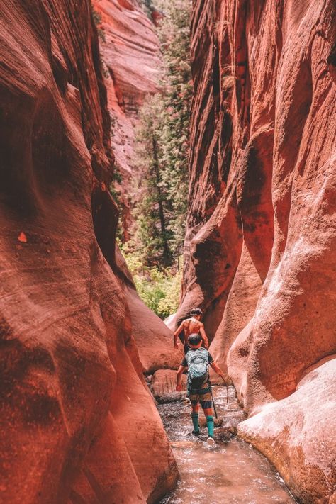 Kanarra Falls a Utah hidden gem | Simply Wander #kanarrafalls #utah #simplywander Kannara Falls Utah, Kanara Falls Utah, Kanarra Falls Utah, Utah Hidden Gems, Gunlock Falls Utah, Canyon Point Utah, Utah National Parks Road Trip, Utah Trip, Vacay Ideas