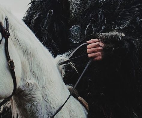 The North Got Aesthetic, Asoiaf North Aesthetic, The North Aesthetic Game Of Thrones, Snow Fantasy Aesthetic, The North Aesthetic, Fire In Snow, The Last Kingdom Aesthetic, House Stark Aesthetic, Robb Stark Aesthetic