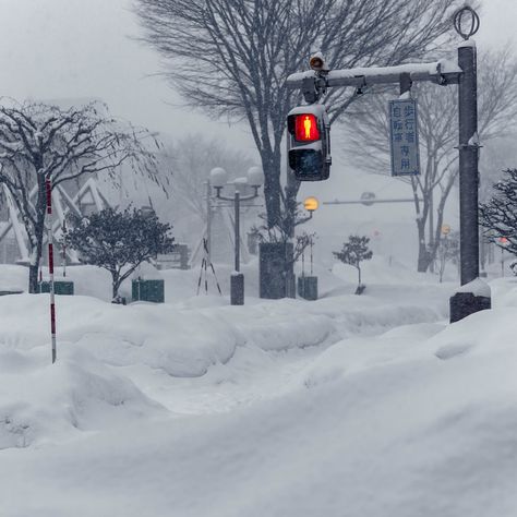 Aomori Japan Winter, Enviroment Photos, Aomori Japan, Strangely Familiar, Travelling Ideas, Study Art, Aomori, Japan Photo, Christmas Night