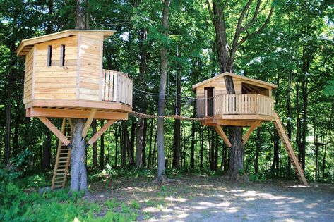 Best Tree Houses, Treehouse For Kids, Treehouse Design Architecture, Adult Treehouse, Ewok Village, Log Chairs, Luxury Tree Houses, Treehouse Masters, Building A Treehouse