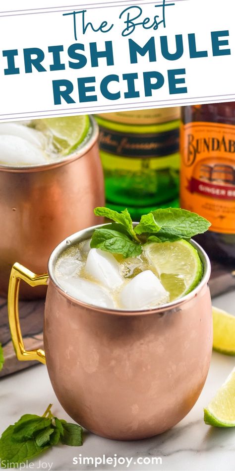 An Irish Mule is a simple twist on the classic Moscow Mule. If you are a whiskey lover, you are going to fall head over heels for this easy cocktail. Moscow Mule With Gin, Whiskey Mule Recipe, Irish Mule Recipe, Whiskey Mule, Irish Mule, Mule Drink, Moscow Mule Recipe, Mule Cocktail, Mule Recipe