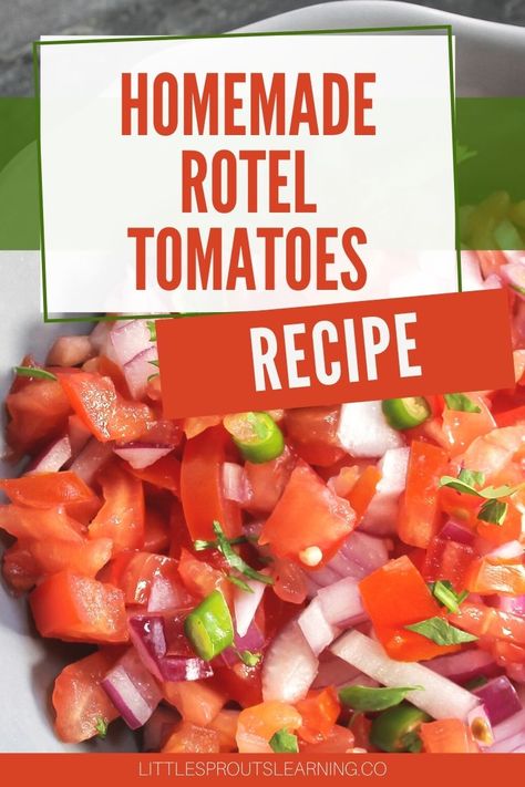 Homemade Rotel is so easy to make in your kitchen! Using fresh tomatoes, onions, and hot peppers from your garden, this recipe for Rotel comes together quickly. Homemade Rotel Tomatoes Freezer, Canning Tomatoes With Peppers And Onions, Rotel Tomato Recipes, What Is Rotel, Homemade Rotel Recipes, Rotel For Canning, Diy Rotel Recipe, Canned Rotel Tomatoes Recipes, Homemade Rotel Canning