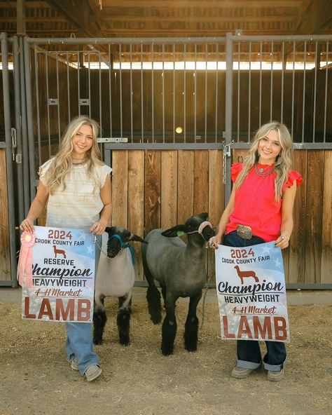 A moment for this stunning 4-H session! I had such an incredible time working with these girls and all of the other incredible people with fair projects this year! 🙌 • I cannot wait to share more of the other fun animals and projects I got to capture. I’m thinking this may be a yearly thing I will do… what do you guys think? 4-H and FFA minis at the fair next year? • #showlambs #ffa #4h #4hproject #crookcounty #countyfair #highschoolseniorportraits #showlamb #4hlambs #bestfriendgoals Ffa Aesthetic, Livestock Showing, Fun Animals, Showing Livestock, Fair Projects, High School Senior Portraits, County Fair, Ffa, Best Friend Goals