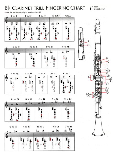 Bb Instrument Sheet Music, Clarinet Fingering Chart, Alto Saxophone Sheet Music, Clarinet Music, Clarinet Sheet Music, Clarinets, Saxophone Sheet Music, Flute Sheet Music, Band Nerd