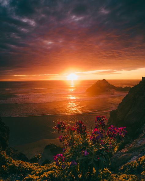 Dramatic sunset. Ocean Beach San Francisco.[3926 x 4907][OC]  Click the link for this photo in Original Resolution.  If you have Twitter follow twitter.com/lifeporn5 for more cool photos.  Thank you author: http://bit.ly/2wPNmhb  Broadcasted to you on Pinterest by pinterest.com/sasha_limm  Have The Nice Life! Stunning Sunset, San Francisco Sunset, Fiery Sunset, Sunset San Francisco, Ocean Beach San Francisco, Dramatic Photos, Hawaiian Sunset, Time Pictures, Sunset Landscape