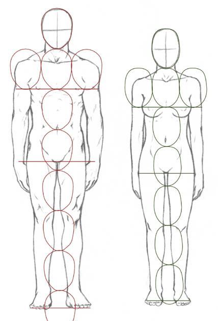 Drawing proportions for costume design Human Body Proportions, Ako Kresliť, Drawing Body Proportions, Body Sketches, Human Figure Drawing, Human Drawing, 캐릭터 드로잉, Anatomy Drawing, Body Drawing