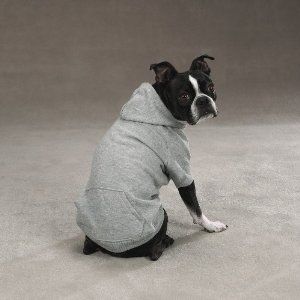 His belly gets really dirty and he gets super wet because we live in a raincloud. These hoodies--currently on sale on Amazon.com marked down from $17 to $9--would definitely help that. I can't find raincoats that are cheap and lined so far, so this may have to do. Gray Dog, Dog Vests, Denim Dog, Loyal Dogs, Animal Sweatshirt, Grey Dog, Guide Dog, Dog Sweatshirt, Dog Jacket