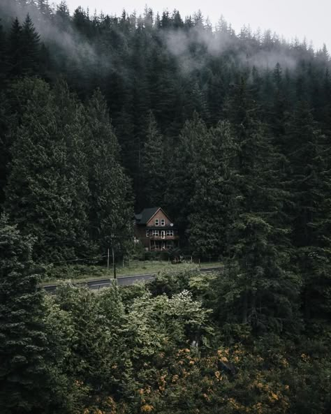 Appalachian Mountains Creepy, Forests Houses, Cabins Aesthetic, Scottish Forest, Cabin In Forest, Scottish Aesthetic, House In Forest, Cabin Mountain, Delta Green