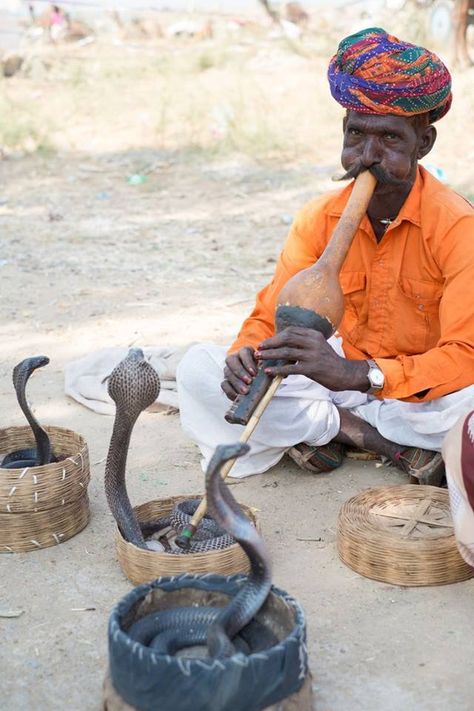 Snake charmer. (photo by Adam Haile). Snake Charmer, Agra India, Visit India, We Are The World, A Snake, South Asia, People Of The World, Incredible India, India Travel