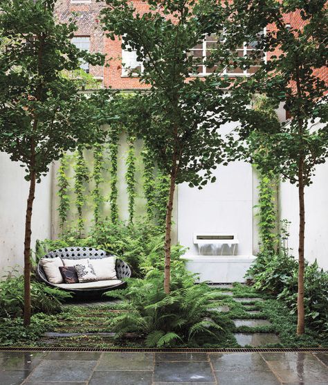 Creciendo hacia arriba: 9 maneras de plantar verticalmente | Dwell Small Courtyard Gardens, Courtyard Gardens Design, Garden Vines, Small Courtyards, Landscape Designs, Have Inspiration, City Garden, Courtyard Garden, Small Gardens