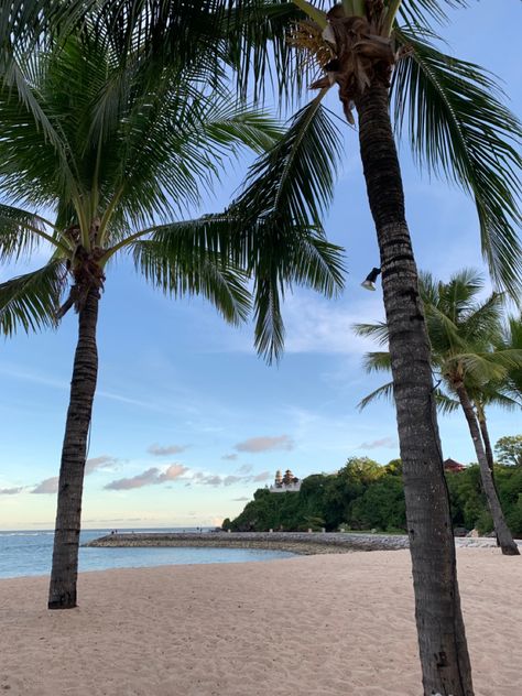 Resort In Bali, Bali Coconut, Calm Beach, Coconut Beach, Coconut Tree, Aesthetic Travel, Bali, Coconut, Travel