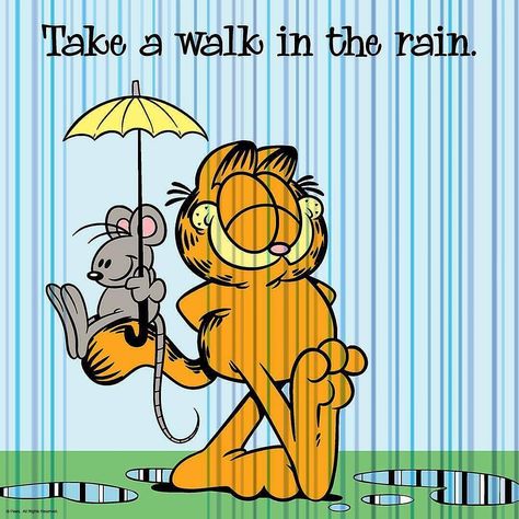 Take a walk in the rain! #GoaInTheRains Source: @garfield #Goa #Goarains #GoaInrains #Goamonsoon #Goamonsoons #GoaRain #monsoon #monsoons . . . #garfield #cats #cat #catsagram #catsofinstgram #GoaInTheRains Goodbye March, Spring Cats, Garfield Images, March Spring, Garfield Christmas, Garfield Cartoon, Long March, I Hate Mondays, Garfield Cat