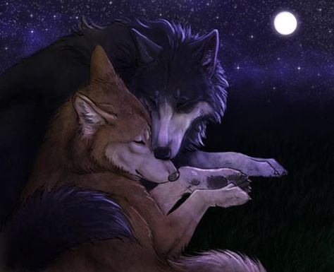 Wolf Art Reference, Cool Wolf Wallpaper, Wolf Art Tattoo, Wolf Art Wallpaper, Wallpaper Wolf, Wolf Deviantart, Tattoo Cool, Cool Wolf, Anime Wolf Drawing