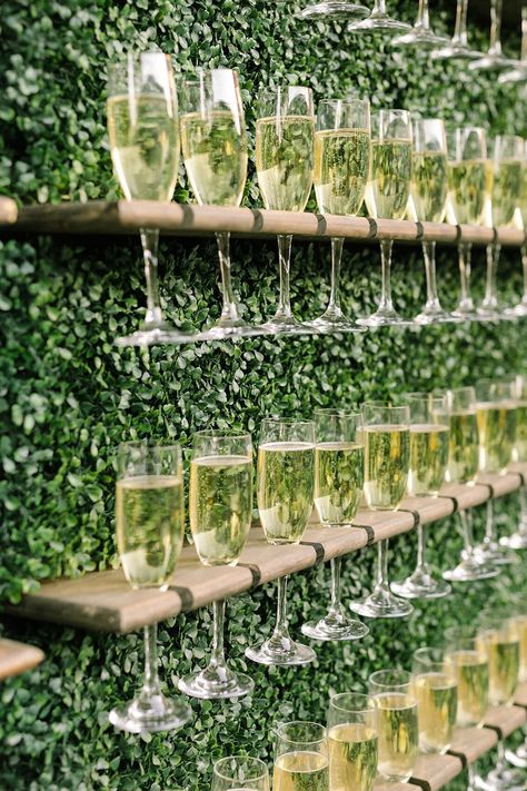 Greenery wall champagne display at Marche in New Orleans, Louisiana. Brought to life by Photographer- Greer Gattuso, Florist- Iris Floral + Event Design and Planner- Emily Sullivan Events. Champagne Wall Greenery, Champagne Display, Champagne Walls, Wedding Bars, Champagne Towers, Okanagan Wedding, Champagne Wall, Green Champagne, Greenery Wall