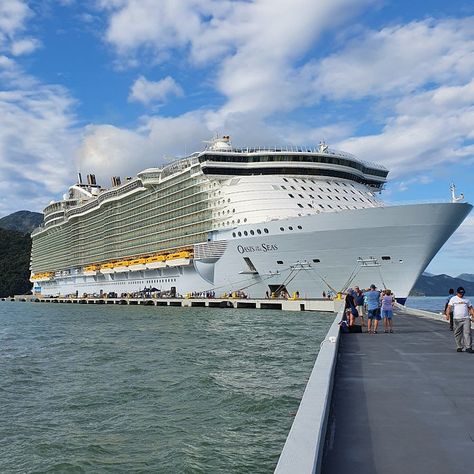 Royal Caribbean Oasis of the Seas - Deck Plans, Reviews & Pictures - Tripadvisor Oasis Of The Seas Royal Caribbean, Cabin Activities, Cruise Aesthetic, Labadee Haiti, Oasis Of The Seas, Royal Caribbean Cruise Lines, Summer Vision, National Park Vacation, Royal Caribbean Cruise