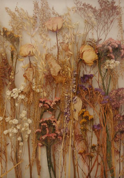 dried flowers | by AlexandreLeMay Dried Flowers, Flowers, Wall, White