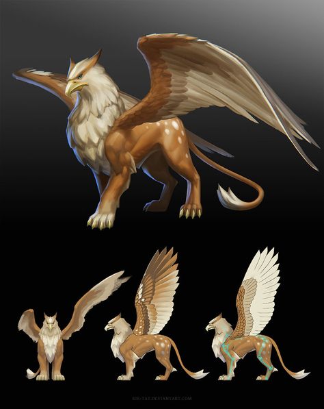 Griffon Aesthetic, Griffin Aesthetic, Griffin Design, Griffin Fanart, Griffin Art, Griffin Animal, Griffin Creature Design, Types Of Griffins, Griffin Mythical Creatures